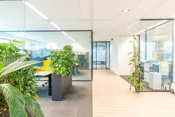 Licht en modern kantoorinterieur aan de Tupolevlaan 41 met glazen wanden, groene planten en werkplekken.