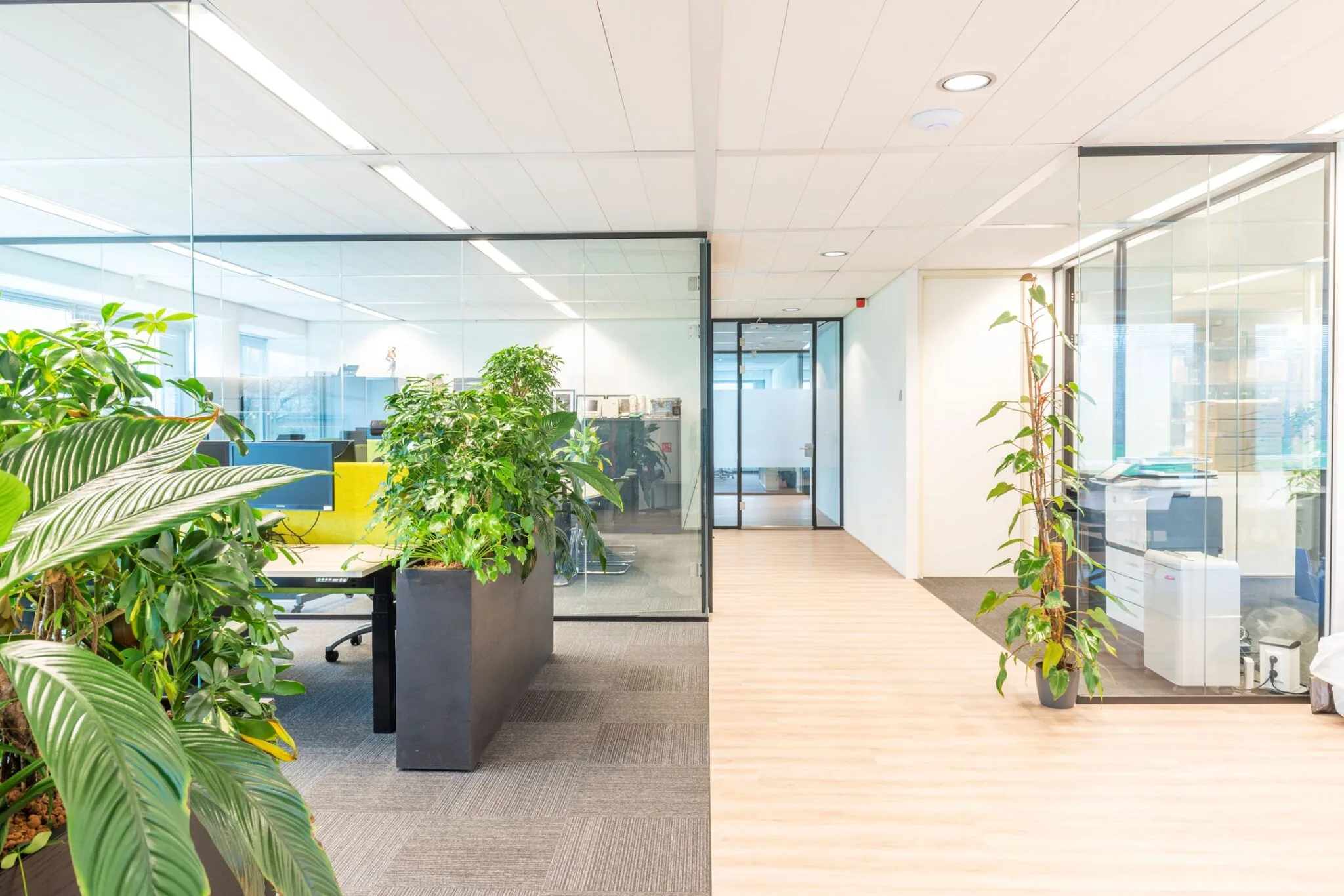 Licht en modern kantoorinterieur aan de Tupolevlaan 41 met glazen wanden, groene planten en werkplekken.
