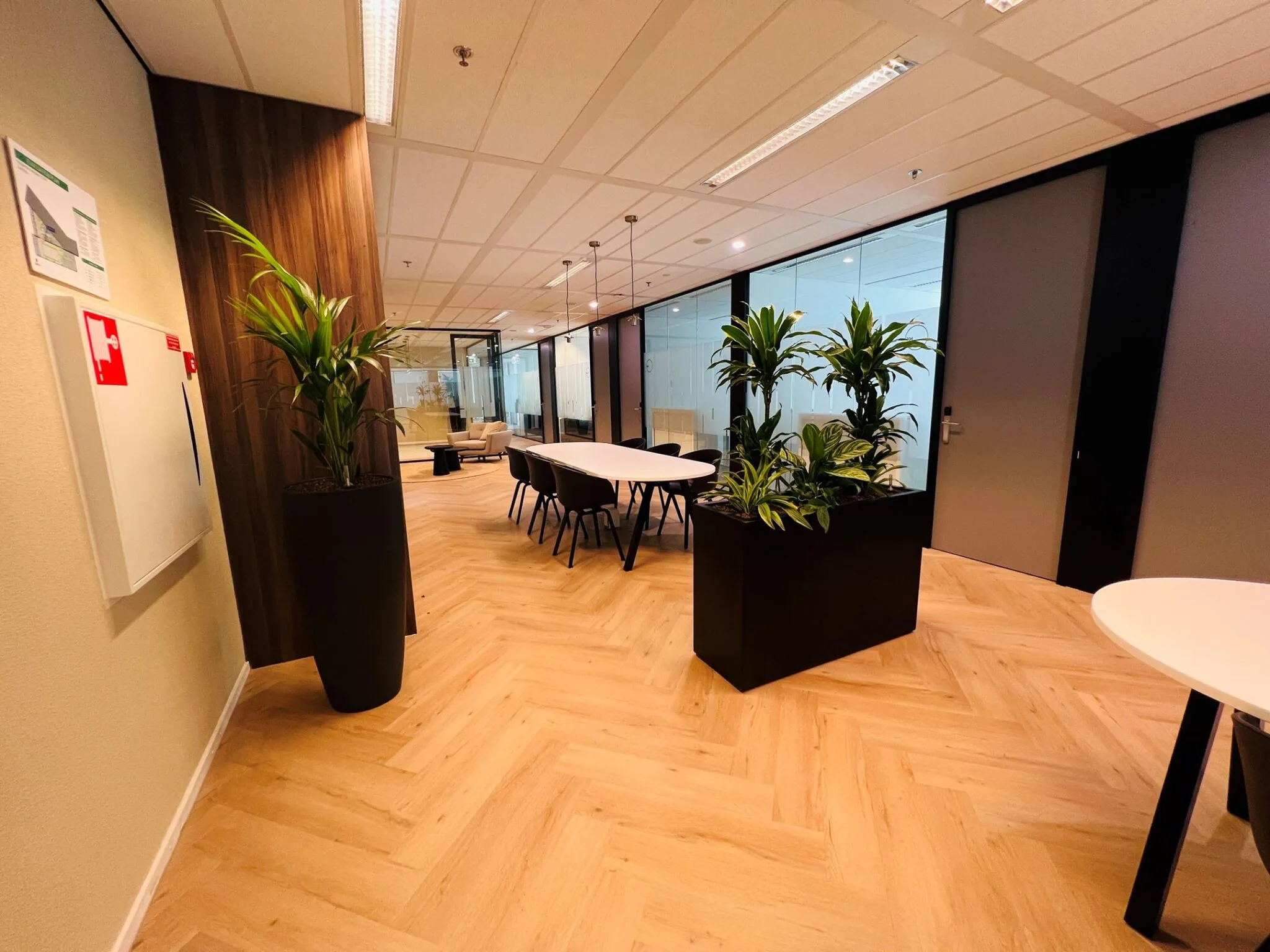 Moderne kantoorruimte aan de Vliegend Hertlaan 21 met glazen vergaderruimtes, houten vloer en groene planten.