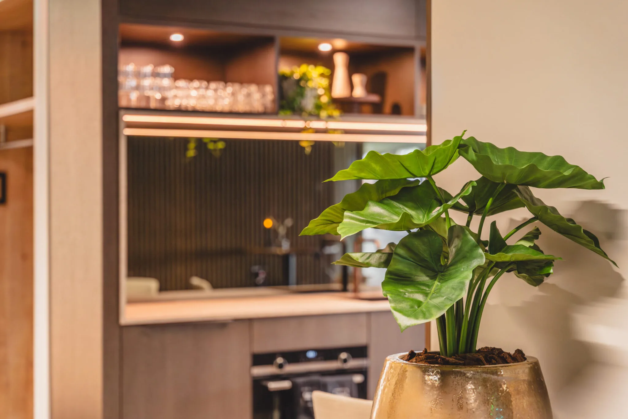 Grote groene kamerplant in een goudkleurige pot in een modern ingerichte keuken van Walborg_2_21.