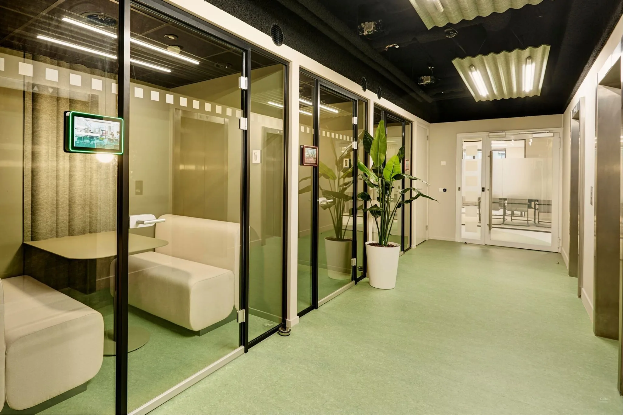 Gang met glazen vergaderruimtes, een groene vloer en een grote kamerplant in Weena 335.