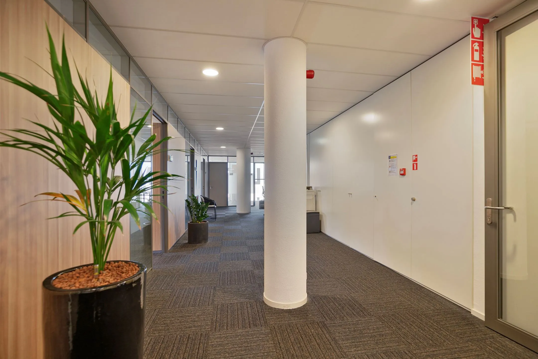 Moderne kantoorhal met tapijtvloer, planten, glazen deuren en witte wanden op Zwartewaterallee 56.