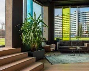 Moderne zithoek met grote kamerplant en uitzicht op een flatgebouw in Zwolle door gekleurde ramen.