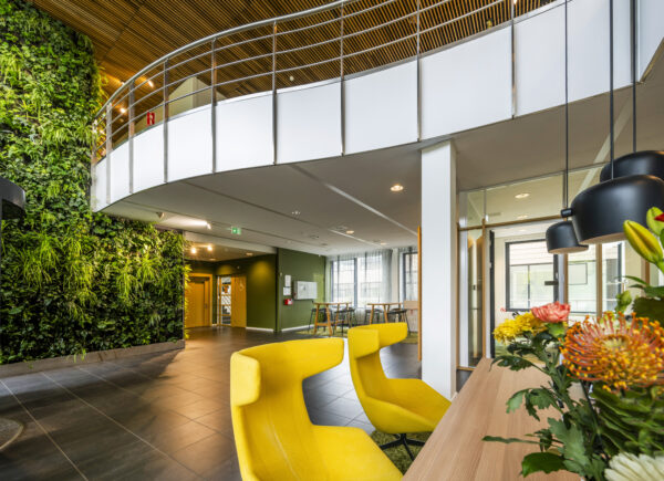 Moderne kantoorruimte aan de Boeingavenue met gele designstoelen, groene plantenmuur en houten accenten.