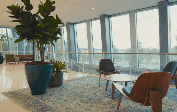 Moderne wachtruimte in Centrale Hart2 met houten stoelen, grote planten en een groot raam met uitzicht.