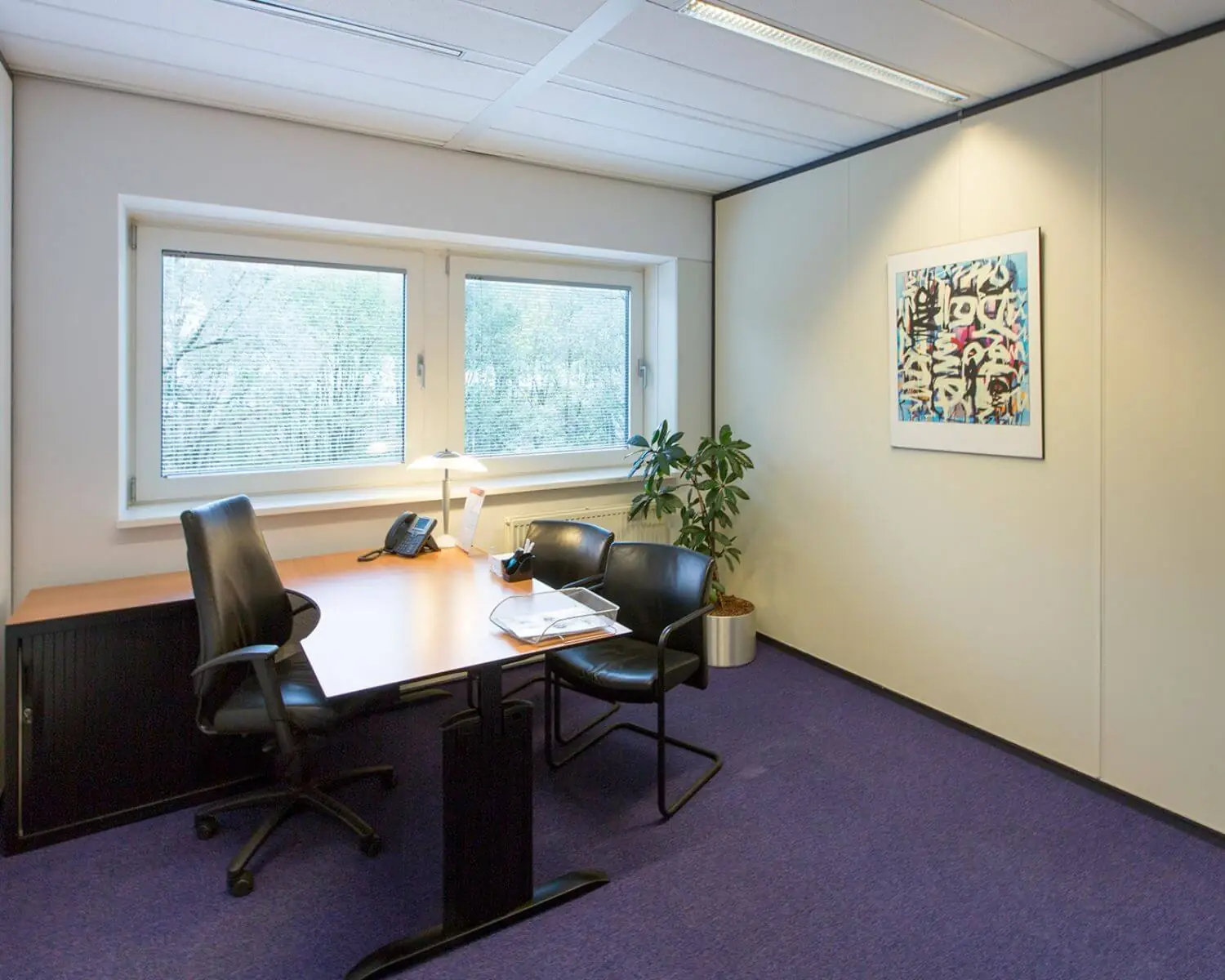 Modern ingericht kantoor met bureau, stoelen, een plant en kleurrijk schilderij aan de muur.