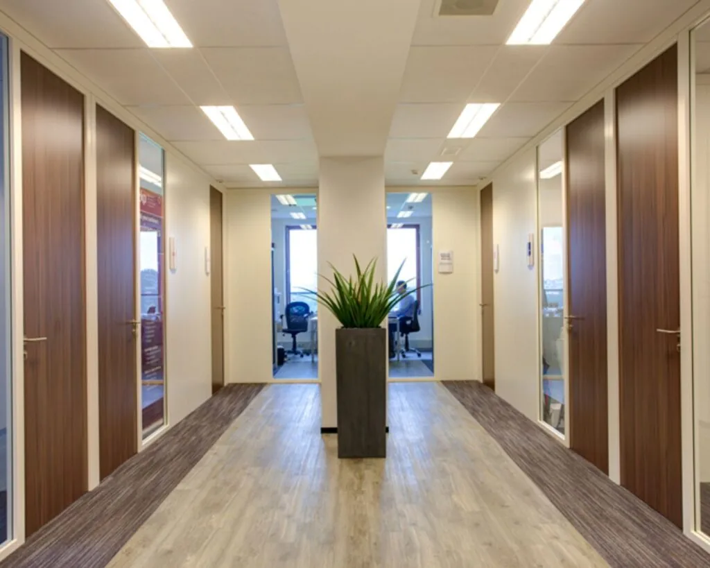 Moderne kantoorgang met houten deuren, glazen wanden en een grote plant in het midden.