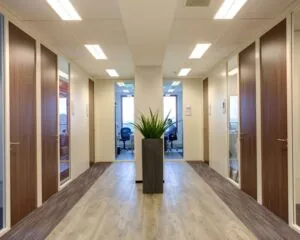 Moderne kantoorgang met houten deuren, glazen wanden en een grote plant in het midden.