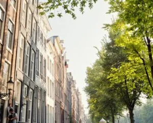 Zonnige straat in Amsterdam met hoge grachtenpanden en groene bomen.