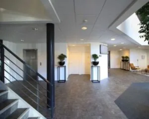 Moderne, licht ingerichte kantoorhal met grijze vloeren, witte muren, planten en een zitgedeelte.