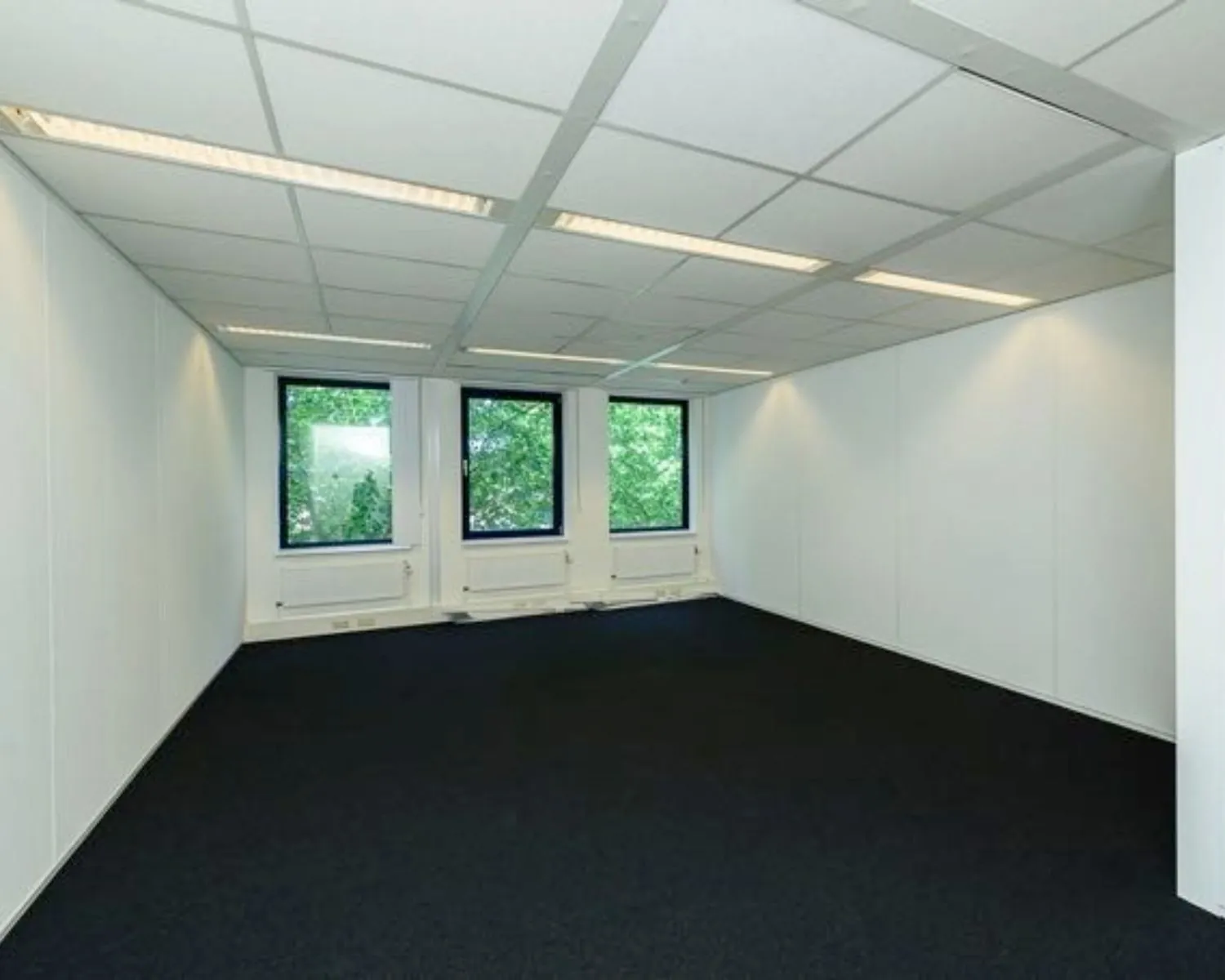 Lege kantoorruimte met witte wanden, donker tapijt en drie ramen met uitzicht op groene bomen.