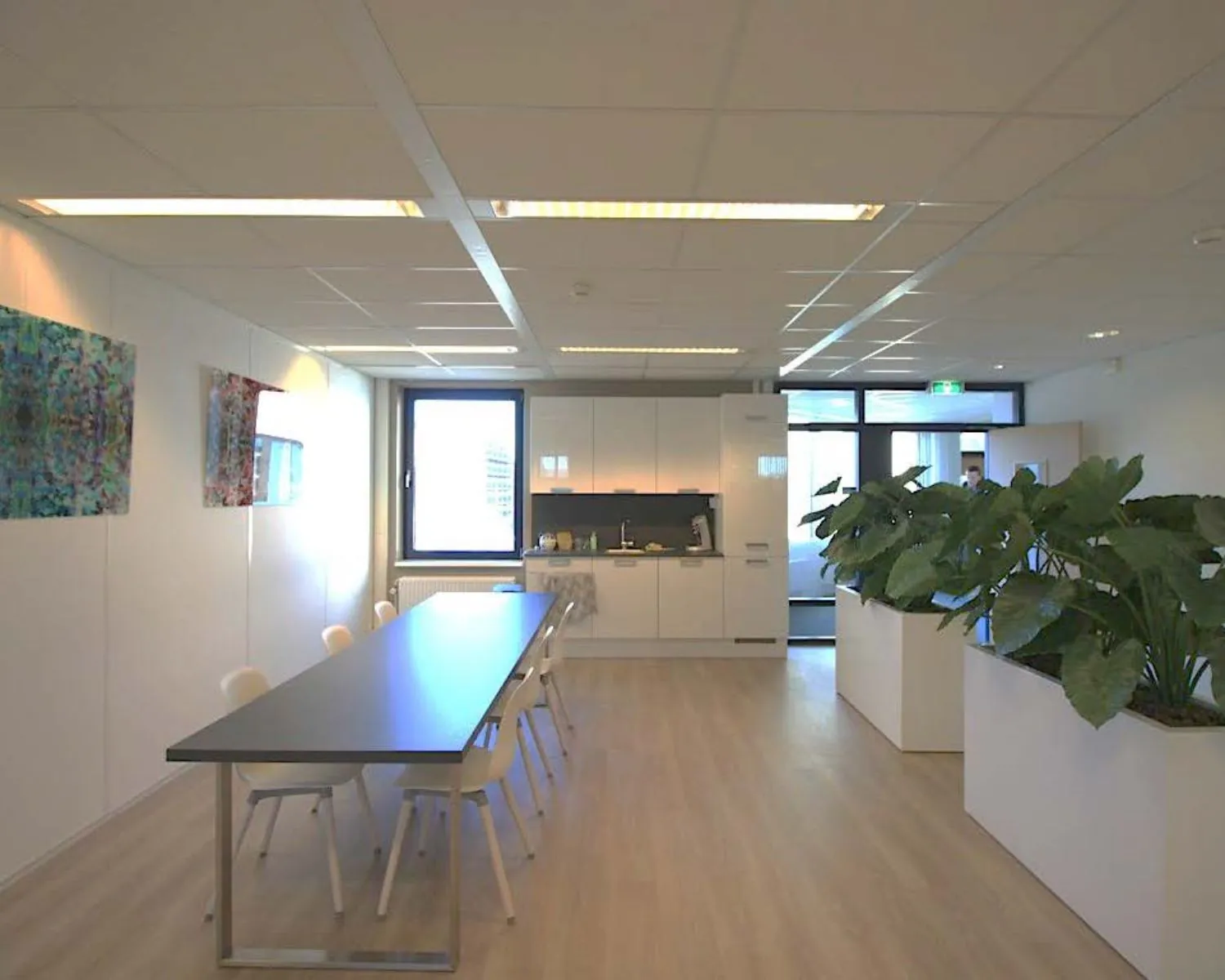 Moderne kantoorkeuken met lange vergadertafel, kunst aan de muur en grote plantenbakken.