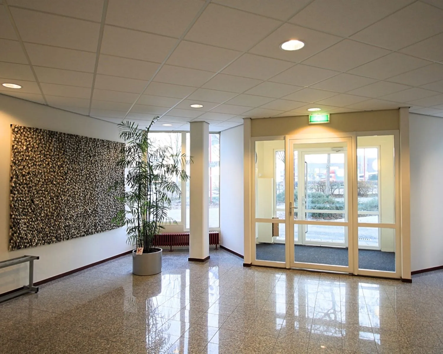 Ingangshal met glazen deur, grote plant in pot en wanddecoratie in een modern kantoorpand.