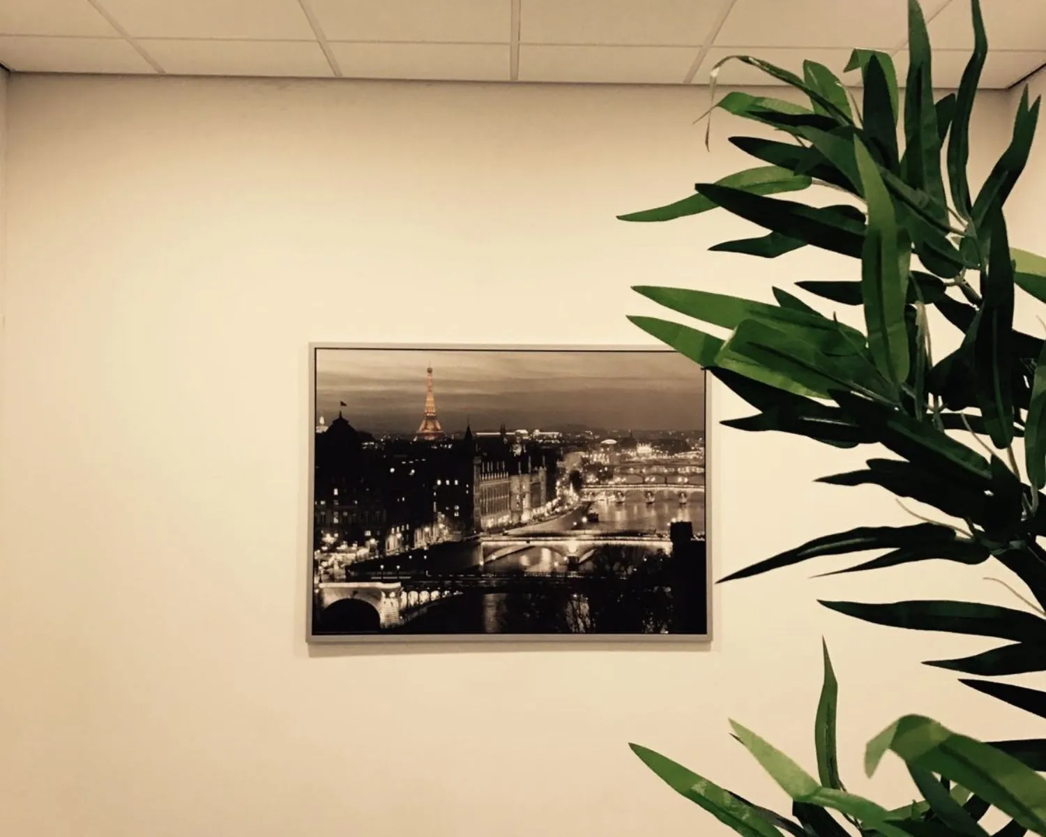 Ingelijste zwart-witfoto van Parijs met zicht op de Eiffeltoren aan een witte muur, deels bedekt door een grote kamerplant.