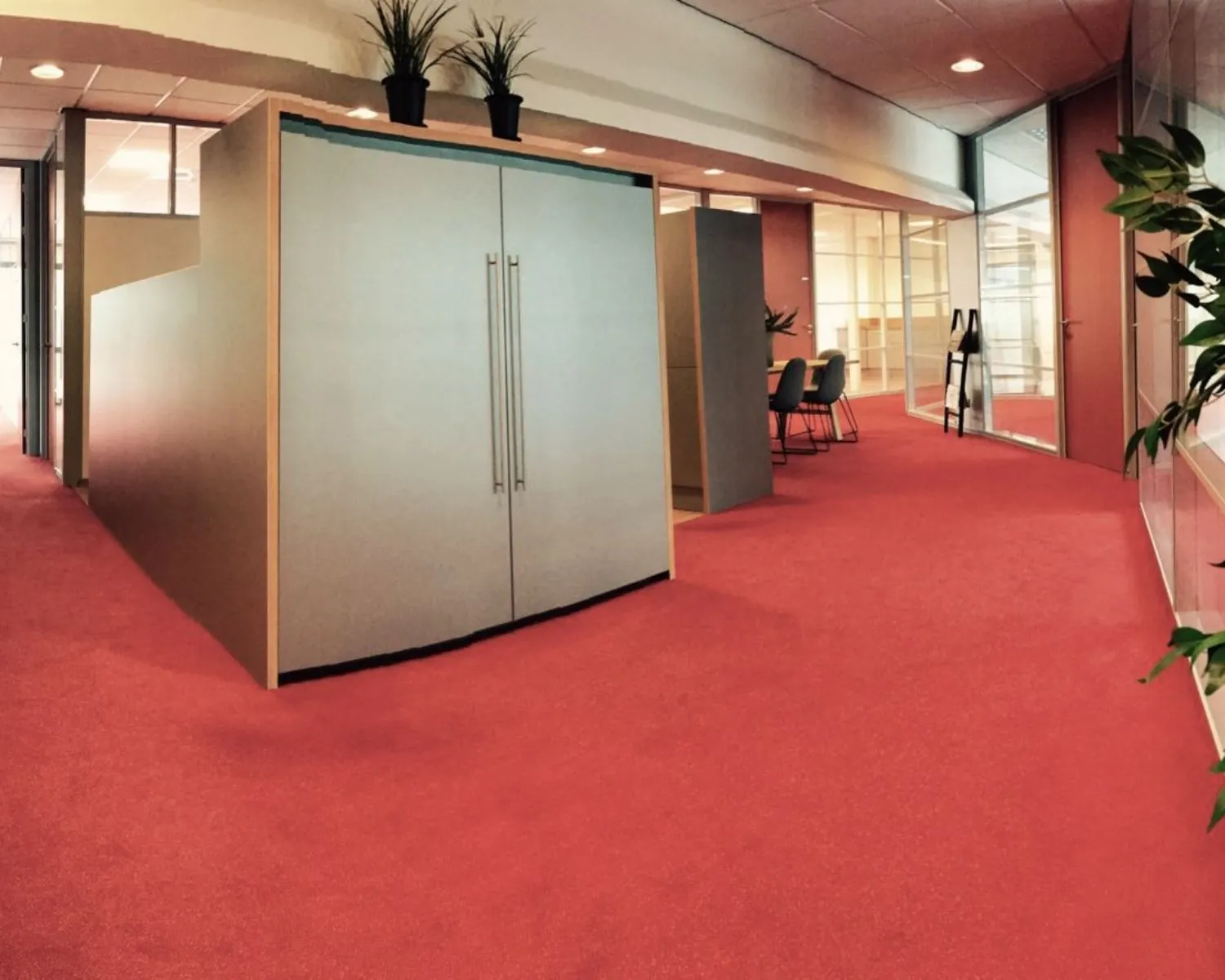 Kantoorruimte met rode vloerbedekking, glazen wanden en grijze kasten met planten bovenop.