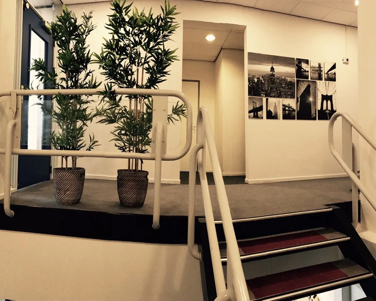Trapopgang met twee kamerplanten in manden en zwart-wit foto’s van stedelijke scènes aan de muur.