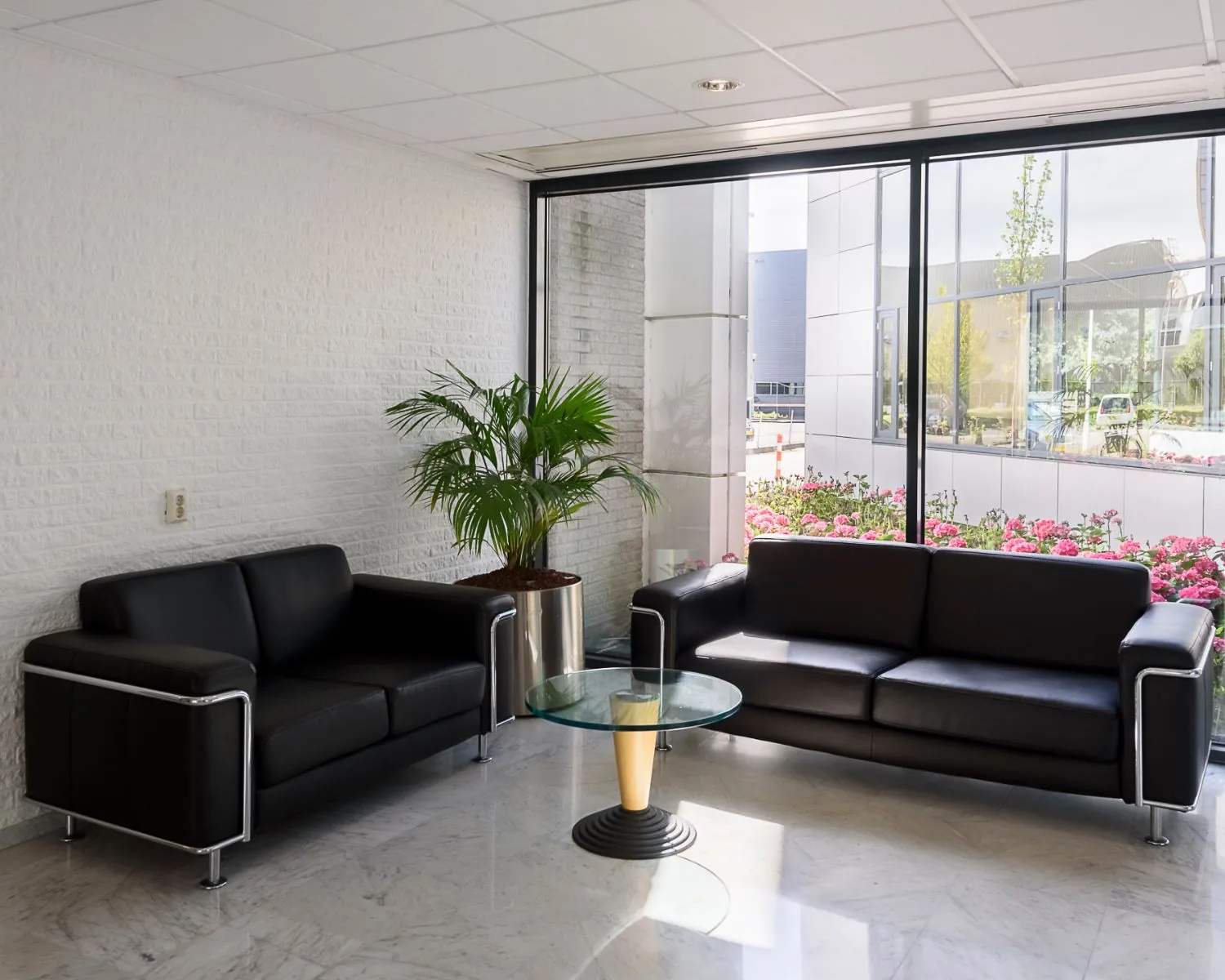 Moderne wachtruimte met twee zwarte leren banken, een glazen salontafel en een grote plantenbak bij een raam met uitzicht op bloemen en een kantooromgeving.