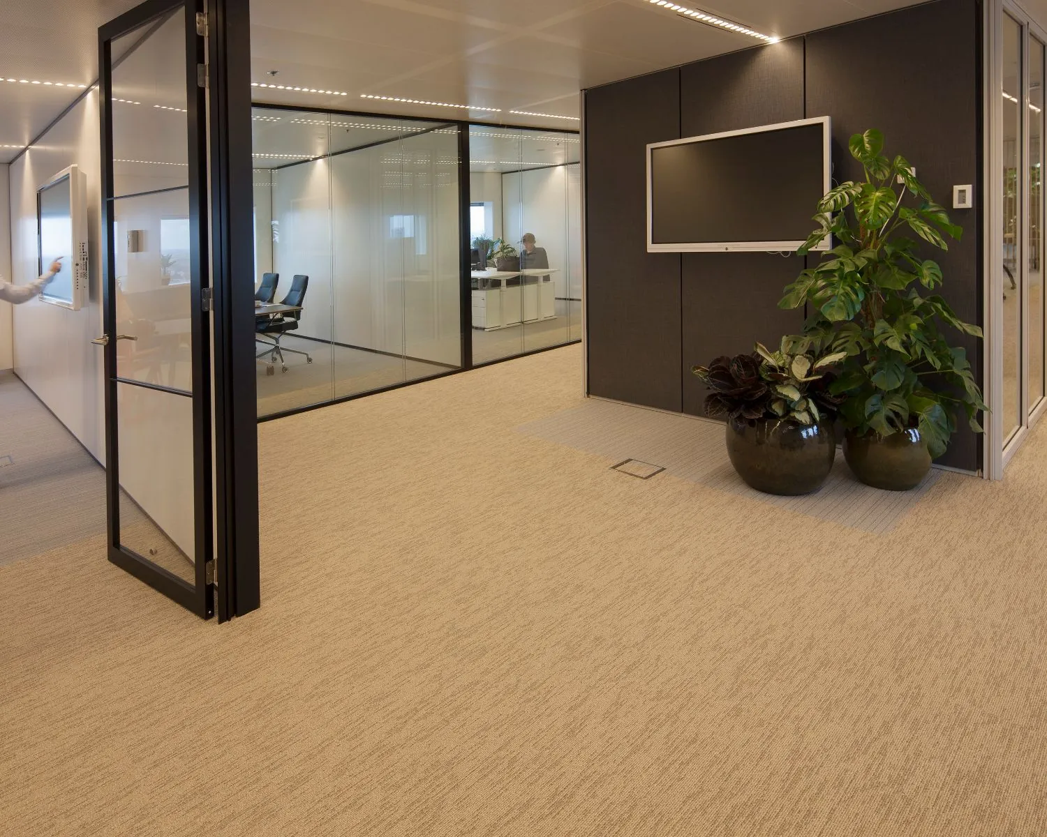 Modern kantoorinterieur met glazen vergaderruimtes, een flatscreen aan de muur en grote kamerplanten in zwarte potten.