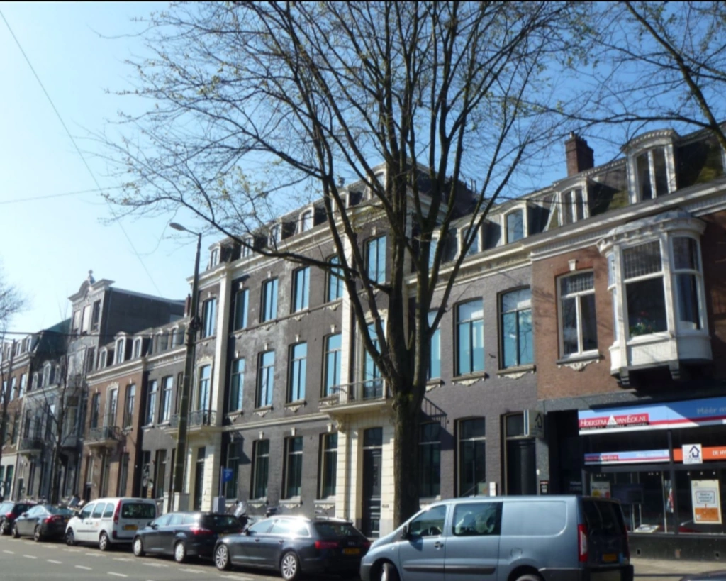 Rij statige herenhuizen en winkels met geparkeerde auto's aan een zonnige straat.