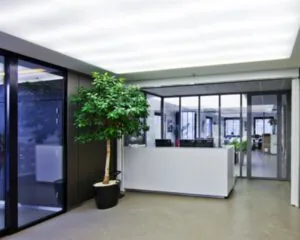 Moderne kantoorentree met een witte receptiebalie, glazen wanden en een grote kamerplant.