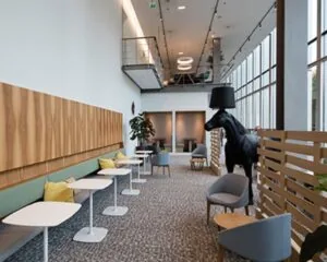 Moderne kantoorlounge met zitplekken, grote ramen en een opvallende paardenlamp.