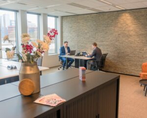 Twee mannen in pak werken op laptops in een modern kantoor met grote ramen en een vaas met bloemen op de voorgrond.