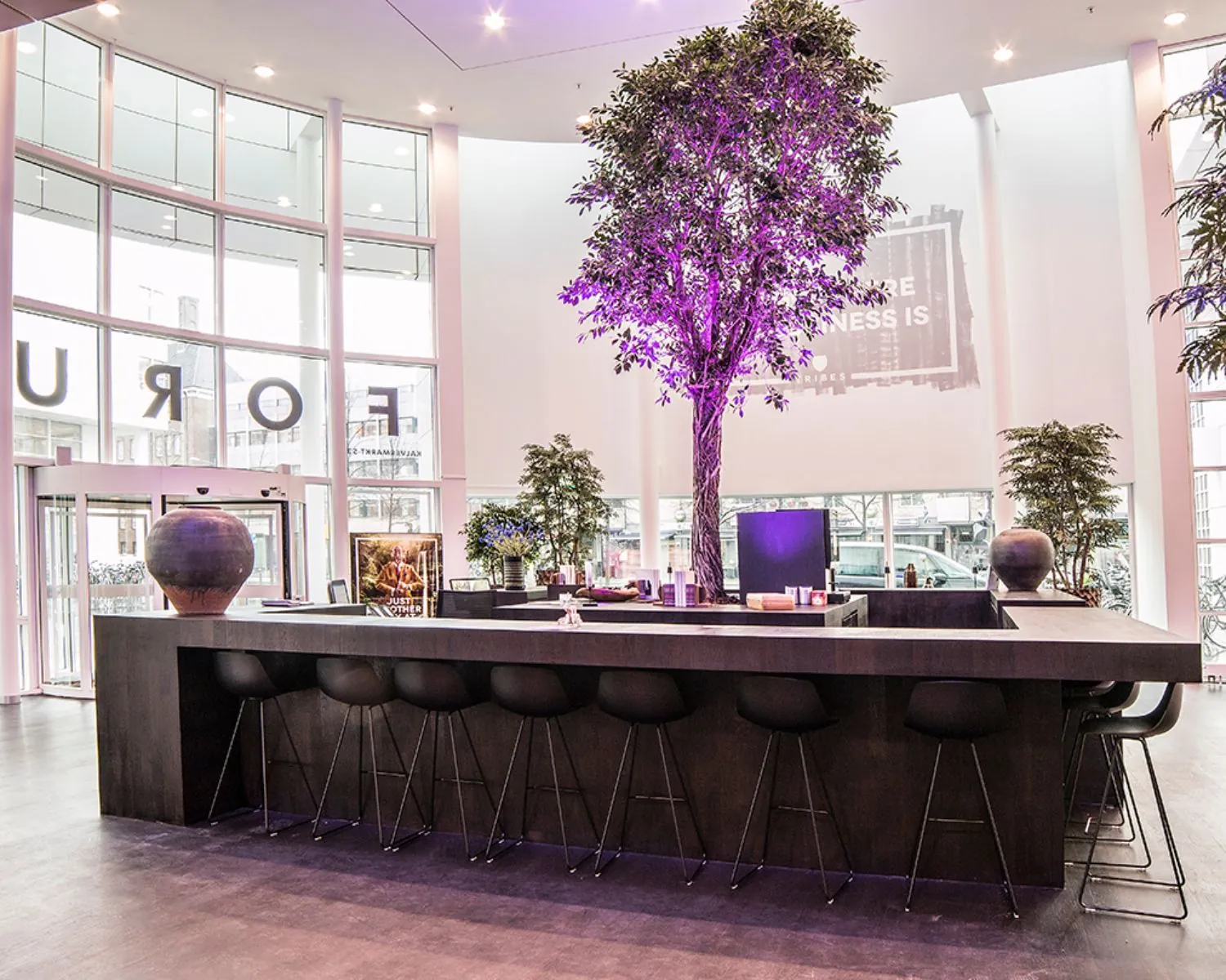 Moderne lounge met hoge tafels, zwarte barkrukken en een verlicht kunstboom in het midden van een lichte ruimte met grote ramen.