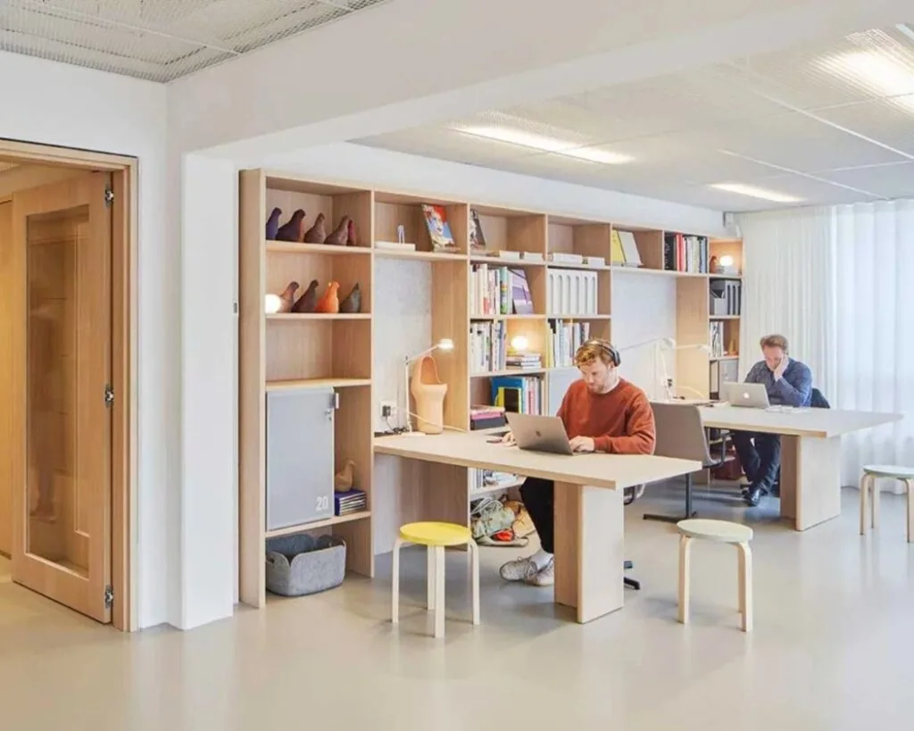 Twee mannen werken op laptops aan een gedeeld bureau in een modern, licht kantoor met houten boekenkasten en kleurrijke vogelbeelden.