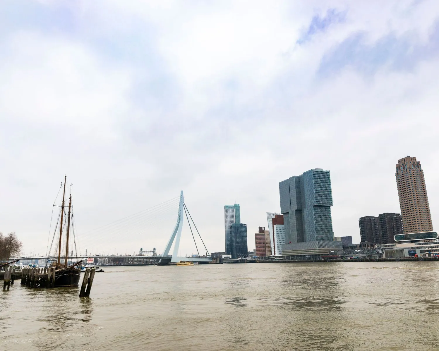 Uitzicht op de Erasmusbrug en moderne hoogbouw in Rotterdam vanaf de oever van de Maas.