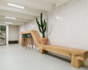 Moderne, minimalistische ruimte met houten zitmeubels, een bar met barkrukken en een grote cactus in een terracotta pot.