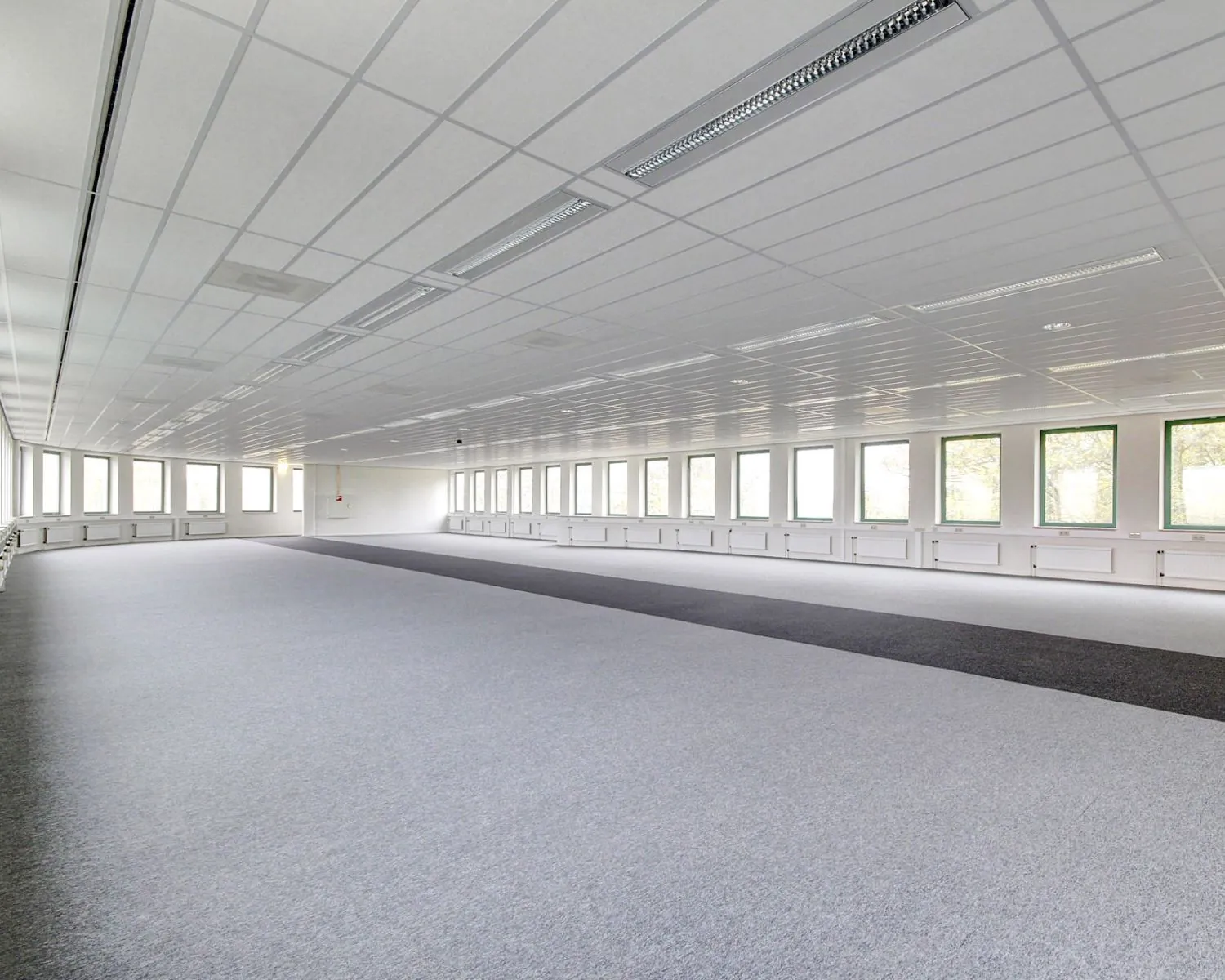 Lege, ruime kantoorruimte met tapijtvloer en een rij ramen langs beide zijden.