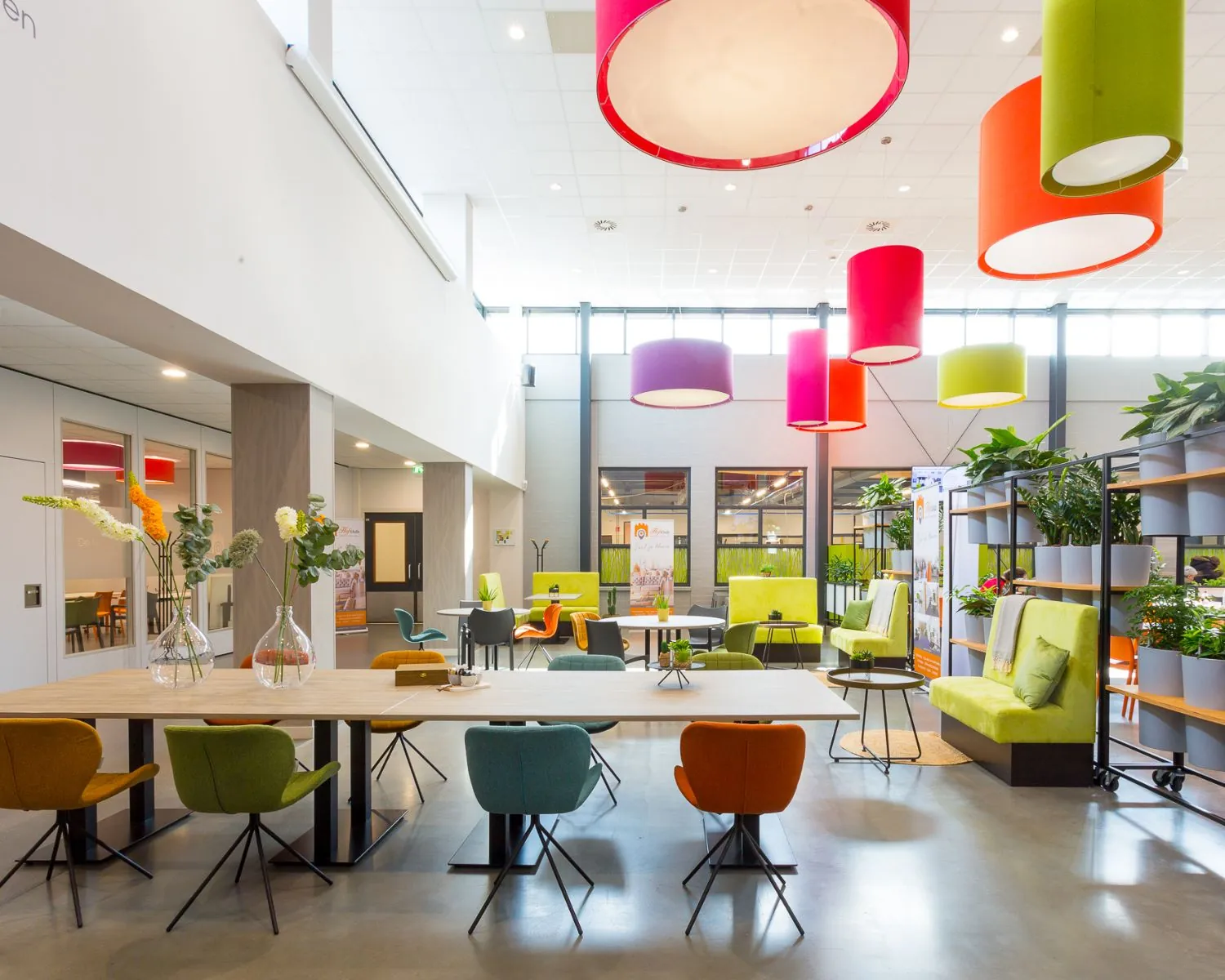 Moderne, kleurrijke kantoorruimte met planten, designmeubilair en grote ronde hanglampen.