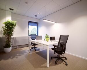 Modern ingericht kantoor met twee bureaustoelen, een wit bureau, laptops, een iMac en een grote kamerplant bij het raam.