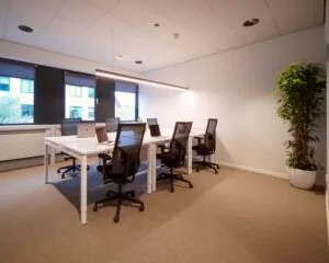 Moderne en minimalistische kantoorruimte met zes werkplekken, bureaustoelen, laptops en een grote kamerplant.