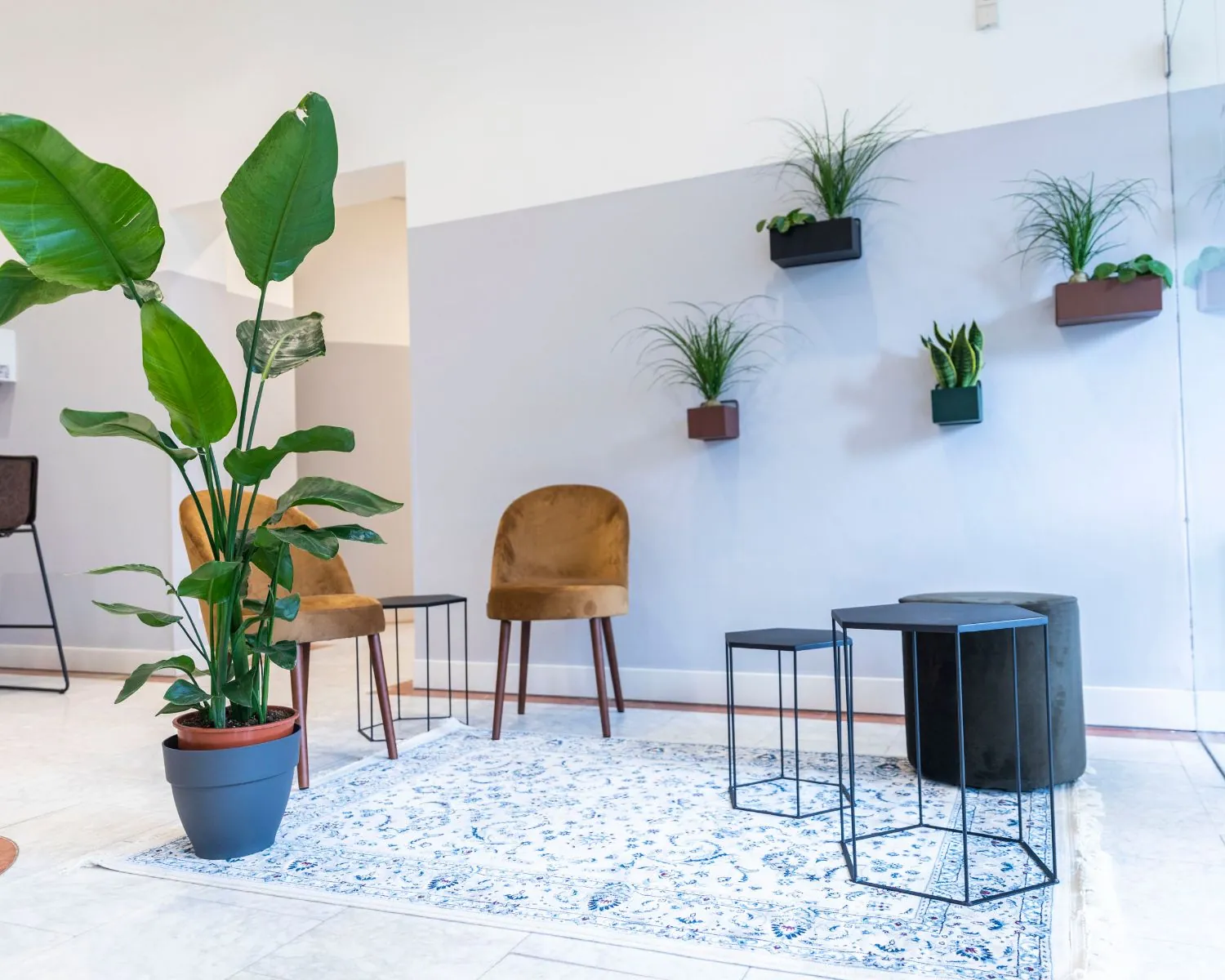 Moderne wachtruimte met fluwelen stoelen, kamerplanten en een blauw-wit kleed op een lichte tegelvloer.