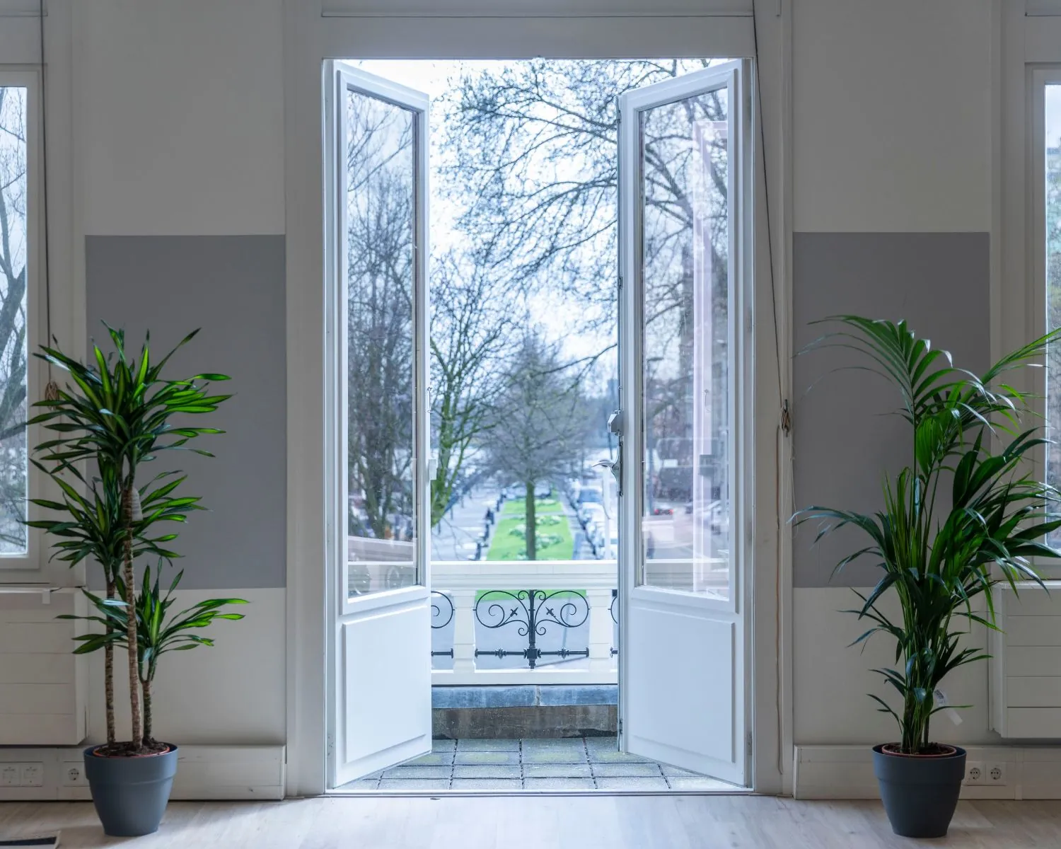 Openstaande dubbele deuren met uitzicht op een groene laan, geflankeerd door twee grote kamerplanten in potten.