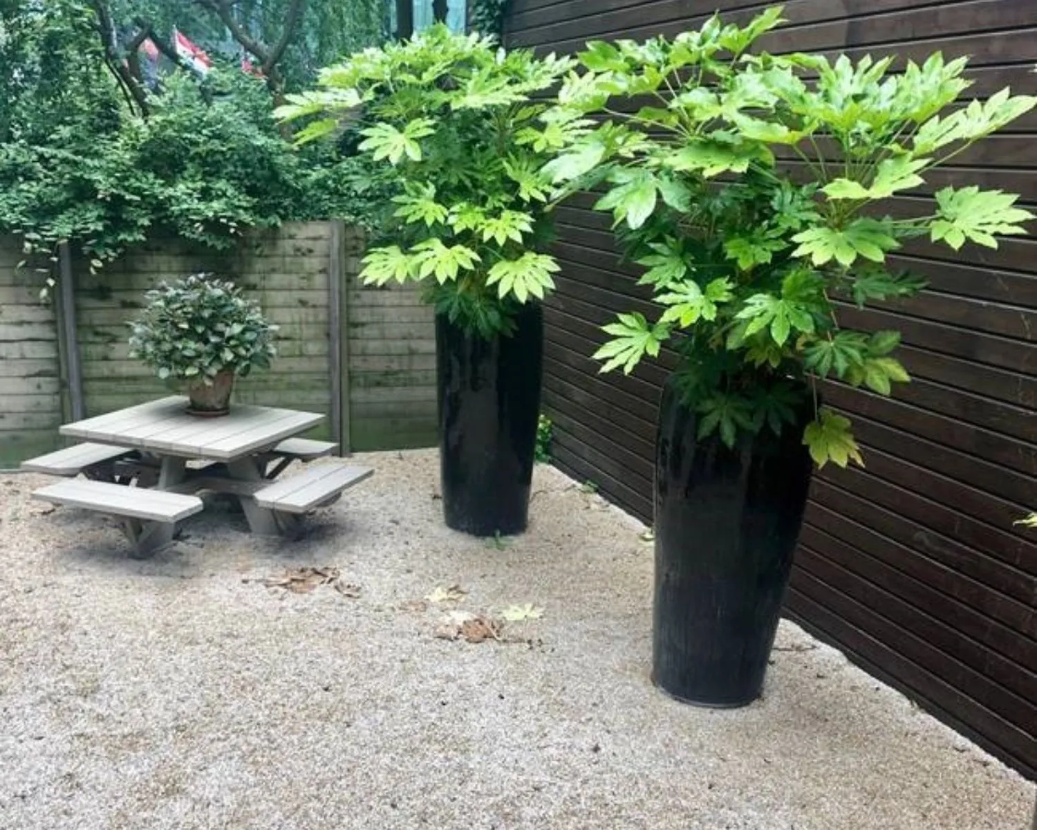 Houten picknicktafel met plant en twee hoge zwarte plantenpotten in een groene, omheinde tuin.