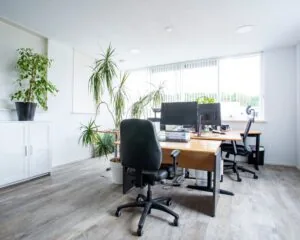 Licht en modern kantoor met bureaus, bureaustoelen, computerschermen en veel grote kamerplanten.