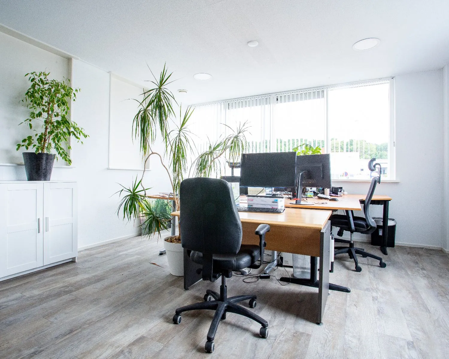 Licht en modern kantoor met bureaus, bureaustoelen, computerschermen en veel grote kamerplanten.