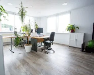 Licht en modern kantoor met bureaus, kantoorstoelen, computers en diverse grote kamerplanten.