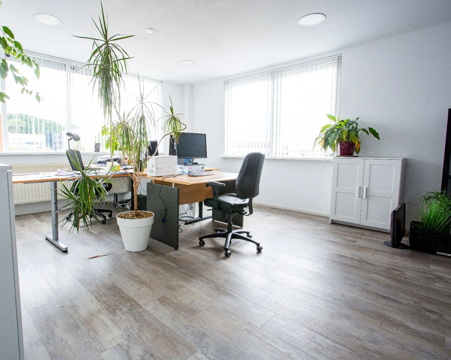 Licht en modern kantoor met bureaus, kantoorstoelen, computers en diverse grote kamerplanten.