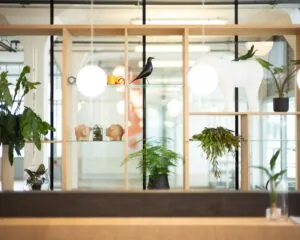 Open houten wandrek met planten, decoratieve objecten en verlichting in een modern kantoorinterieur.
