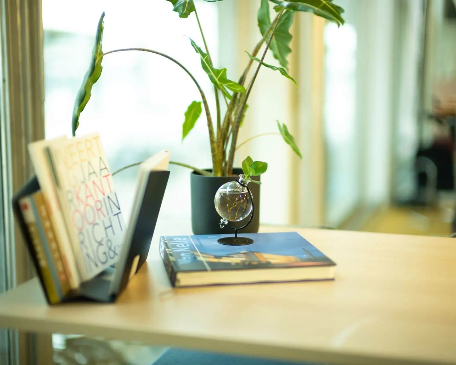 Boekenklem met boeken, een klein vergrootglas, een stapel boeken en een kamerplant op een modern bureau bij het raam.