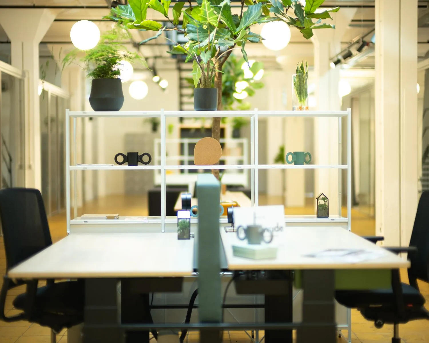 Moderne kantoorruimte met gedeelde bureaus, groene planten en een open, lichte inrichting.