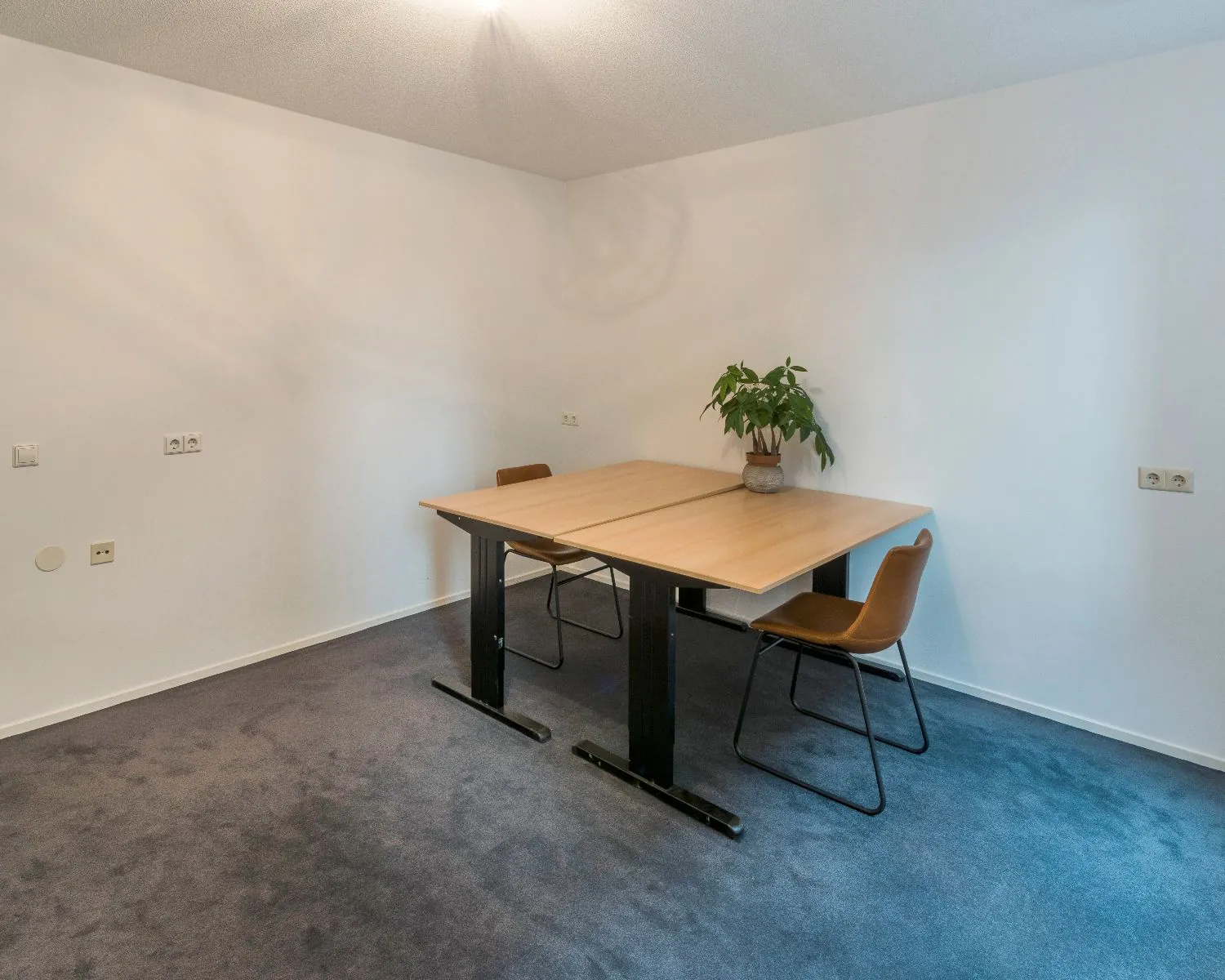 Twee eenvoudige bureaus met stoelen en een plant in een minimalistische kantoorruimte.