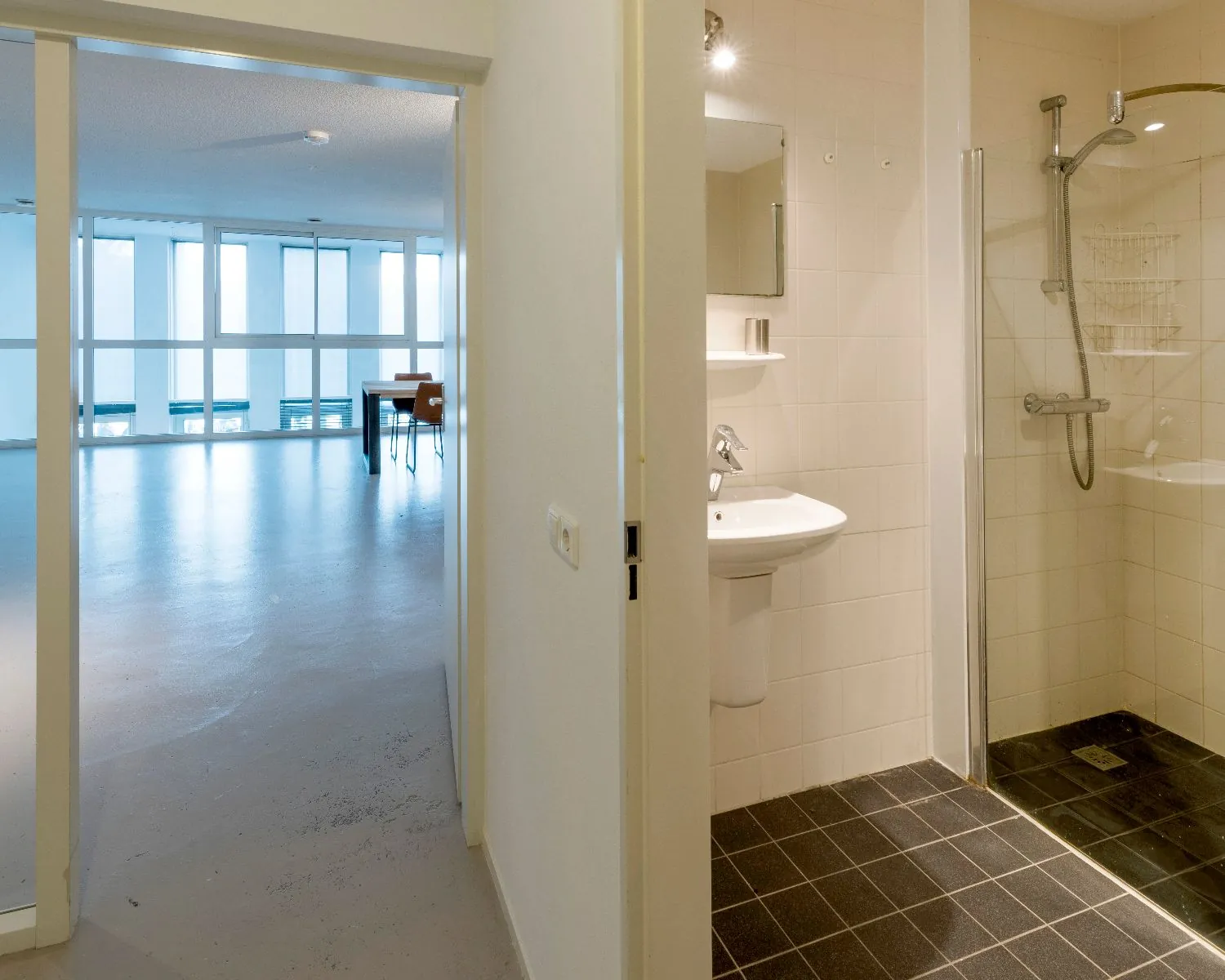 Badkamer met douche en wastafel naast een lichte woonruimte met grote ramen en een tafel met stoelen.