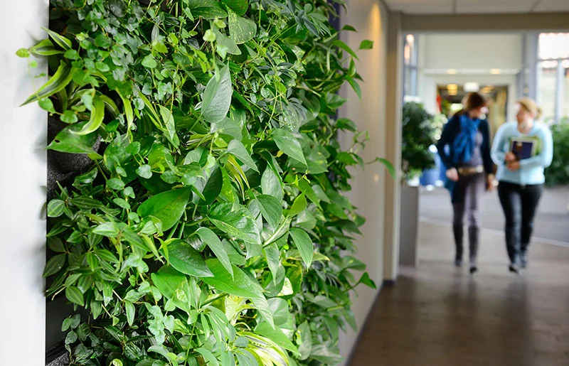 Placeholder afbeelding