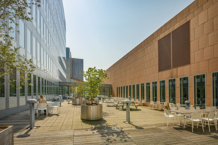 Een zonnig terras met tafels, stoelen en planten tussen moderne gebouwen aan de Jachthavenweg.
