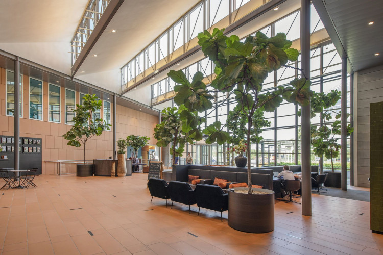 Een moderne, lichte ruimte met grote kamerplanten en zitmeubels bij een glazen gevel.