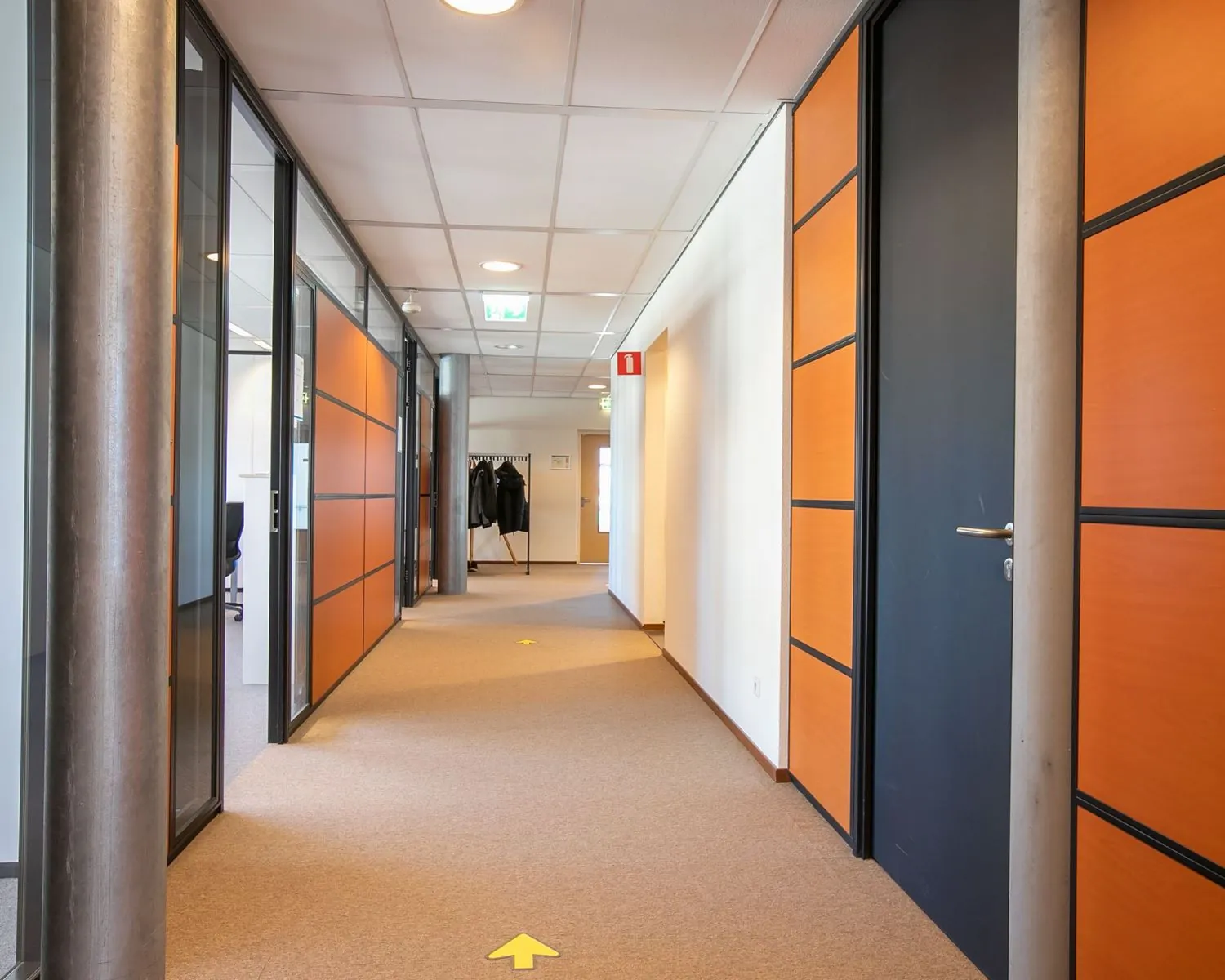 Moderne kantoorruimte aan de Venrayseweg 180 met oranje-houten wanden, glazen kantoordeuren en een nette, lichte gang.